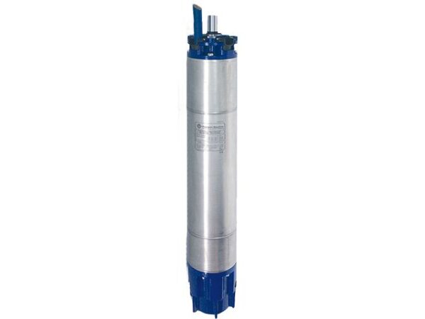 Franklin Electric 10-Inch Submersible Motors
